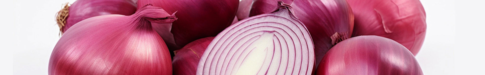 Onion Processing Line